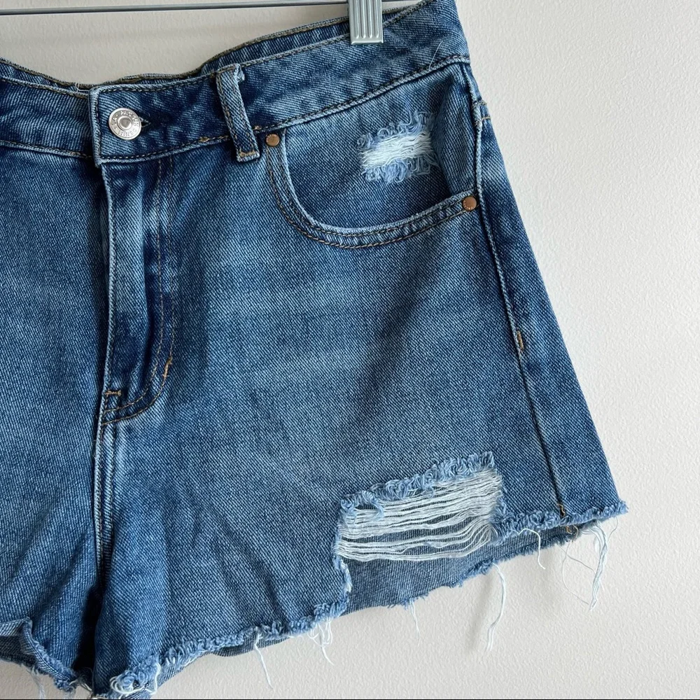 Pacsun denim mom shorts